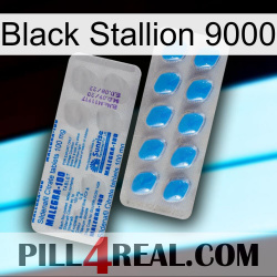 Black Stallion 9000